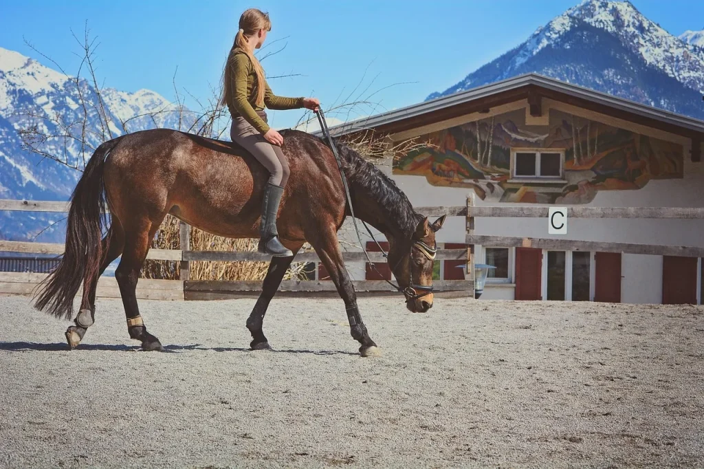 Les bienfaits des jeux d’échecs pour les chevaux et leurs cavaliers