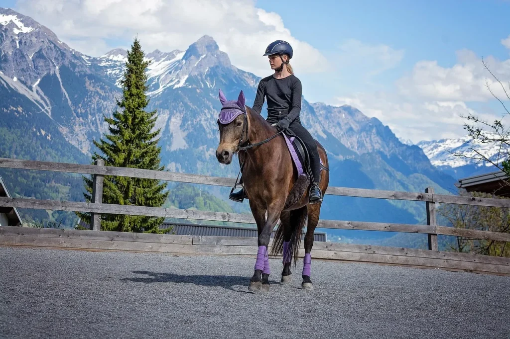 Guide en étapes pour une équitation respectueuse et responsable