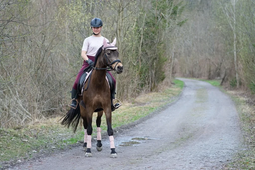 6 façons de renforcer le lien avec votre cheval