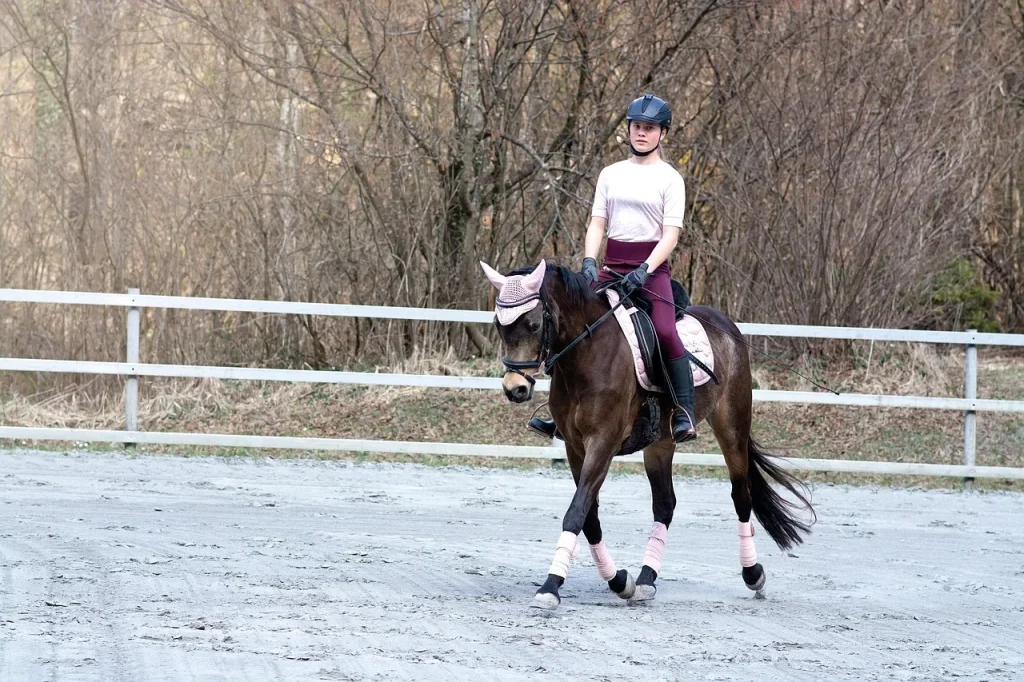 4 façons d&rsquo;améliorer votre performance sportive à cheval