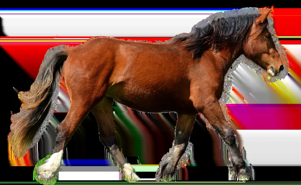 FAQ sur l&rsquo;équitation et le bien-être animal